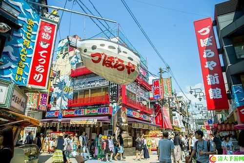 日本线城市的繁华魅力与线城市的生活温度，美食之旅，体验传统与时尚